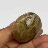 79g, 2.1"x1.8"x0.9", Yellow Ocean Jasper Palm-Stone @Madagascar, B18143