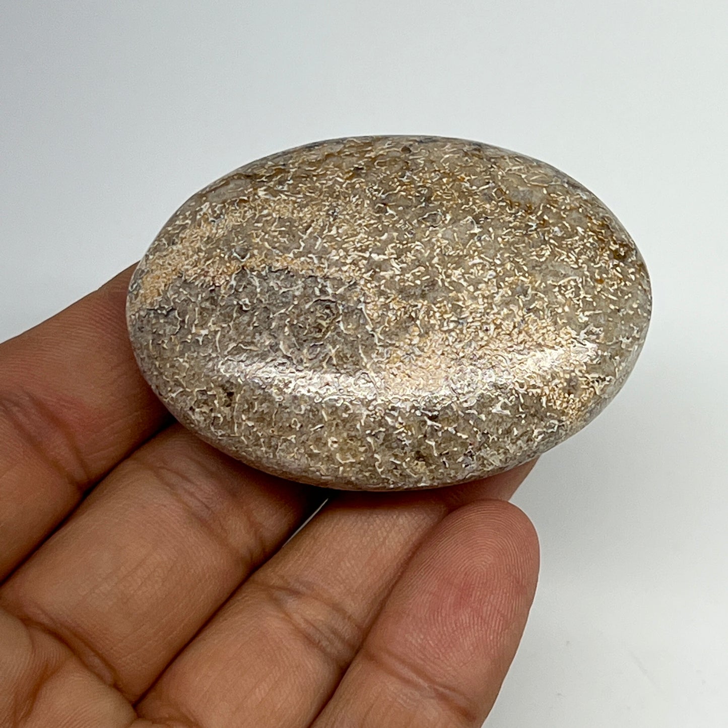 51.1g,2.2"x1.6"x0.7", Small Dinosaur Bones Palm-Stone from Morocco, B20476
