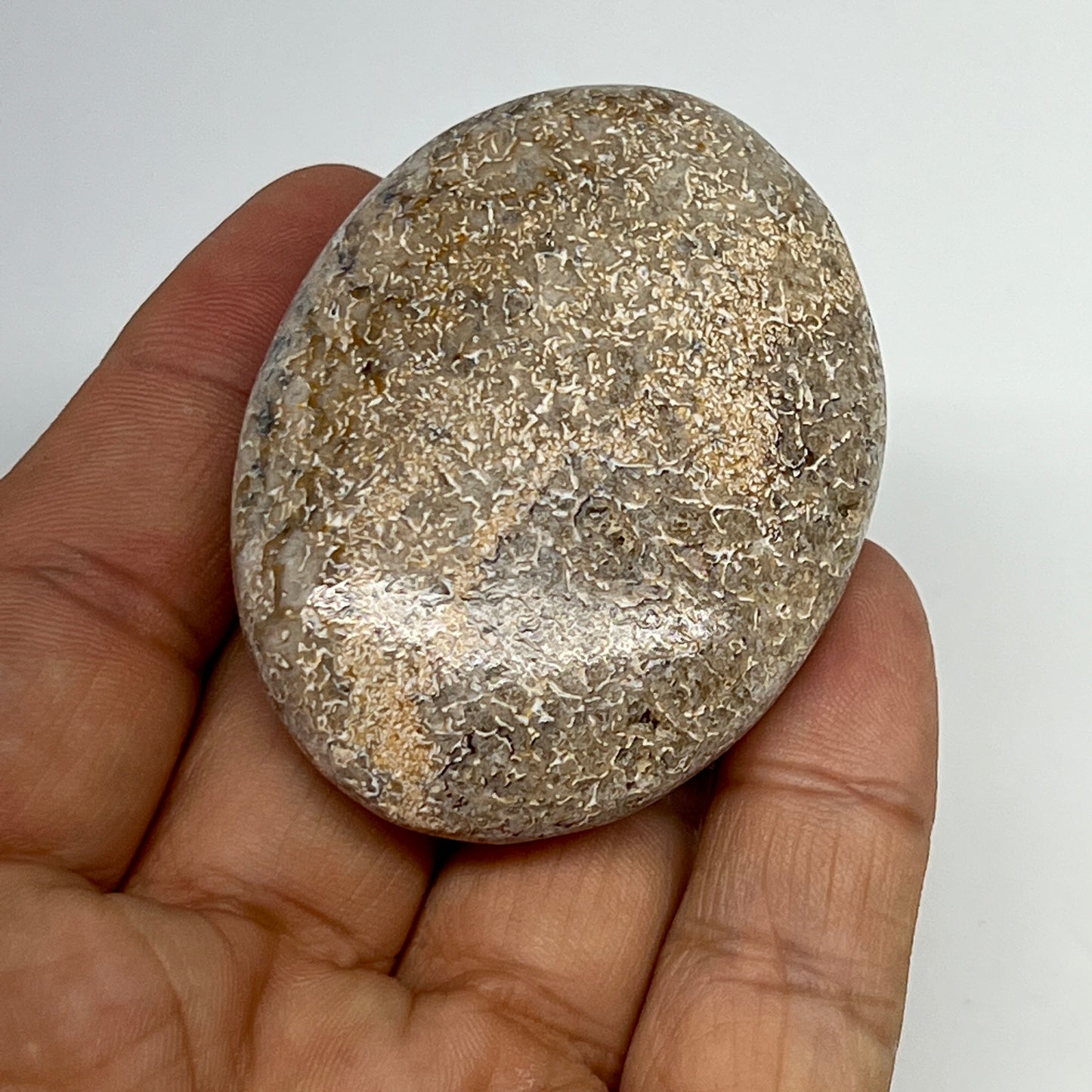 51.1g,2.2"x1.6"x0.7", Small Dinosaur Bones Palm-Stone from Morocco, B20476