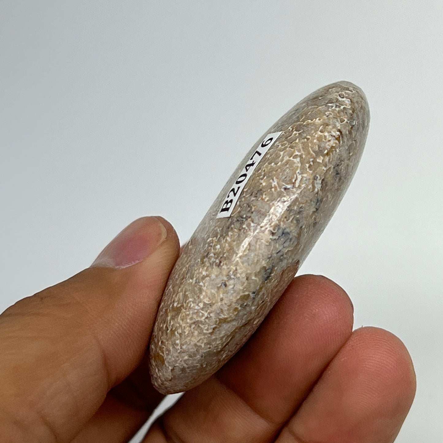 51.1g,2.2"x1.6"x0.7", Small Dinosaur Bones Palm-Stone from Morocco, B20476