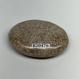 51.1g,2.2"x1.6"x0.7", Small Dinosaur Bones Palm-Stone from Morocco, B20476