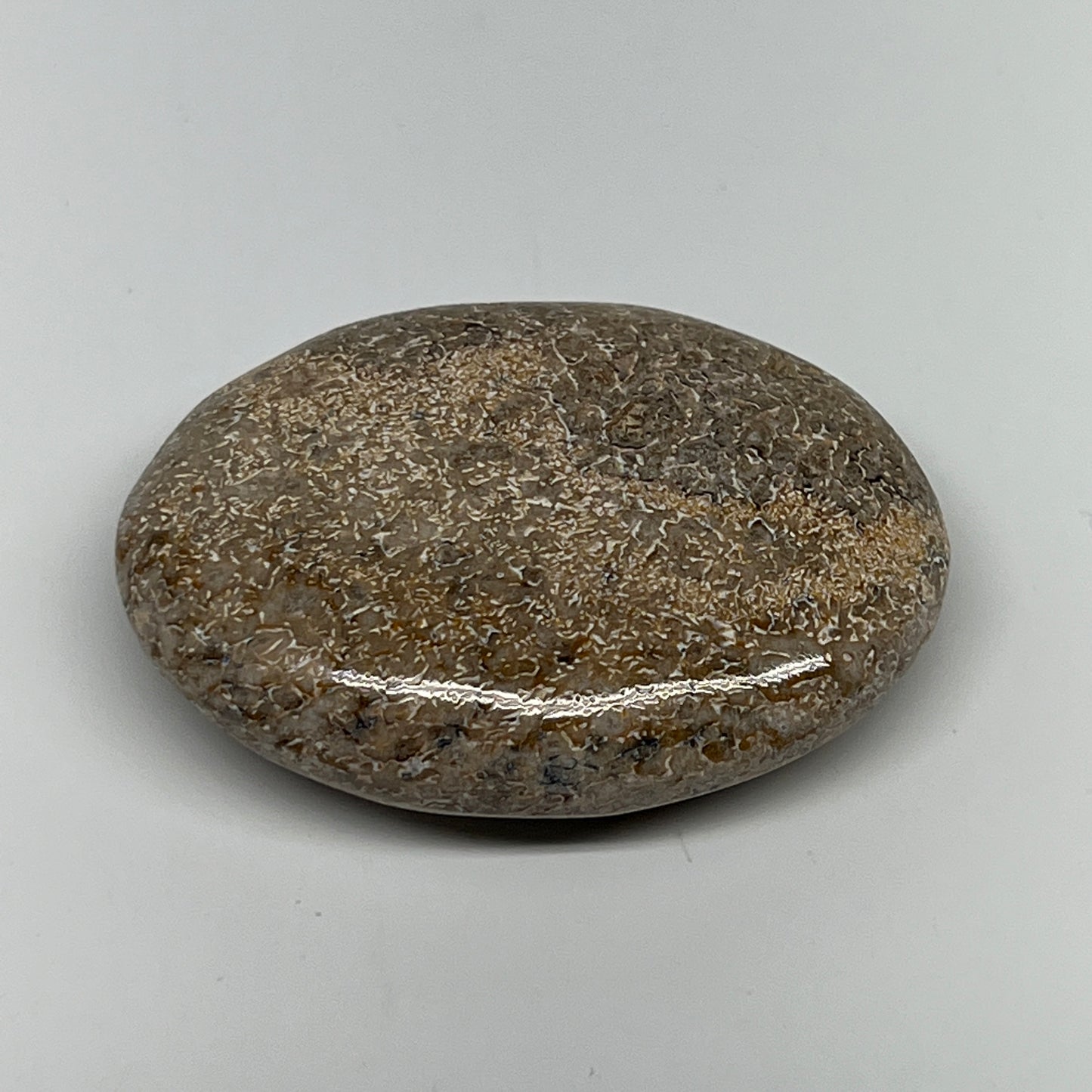 51.1g,2.2"x1.6"x0.7", Small Dinosaur Bones Palm-Stone from Morocco, B20476