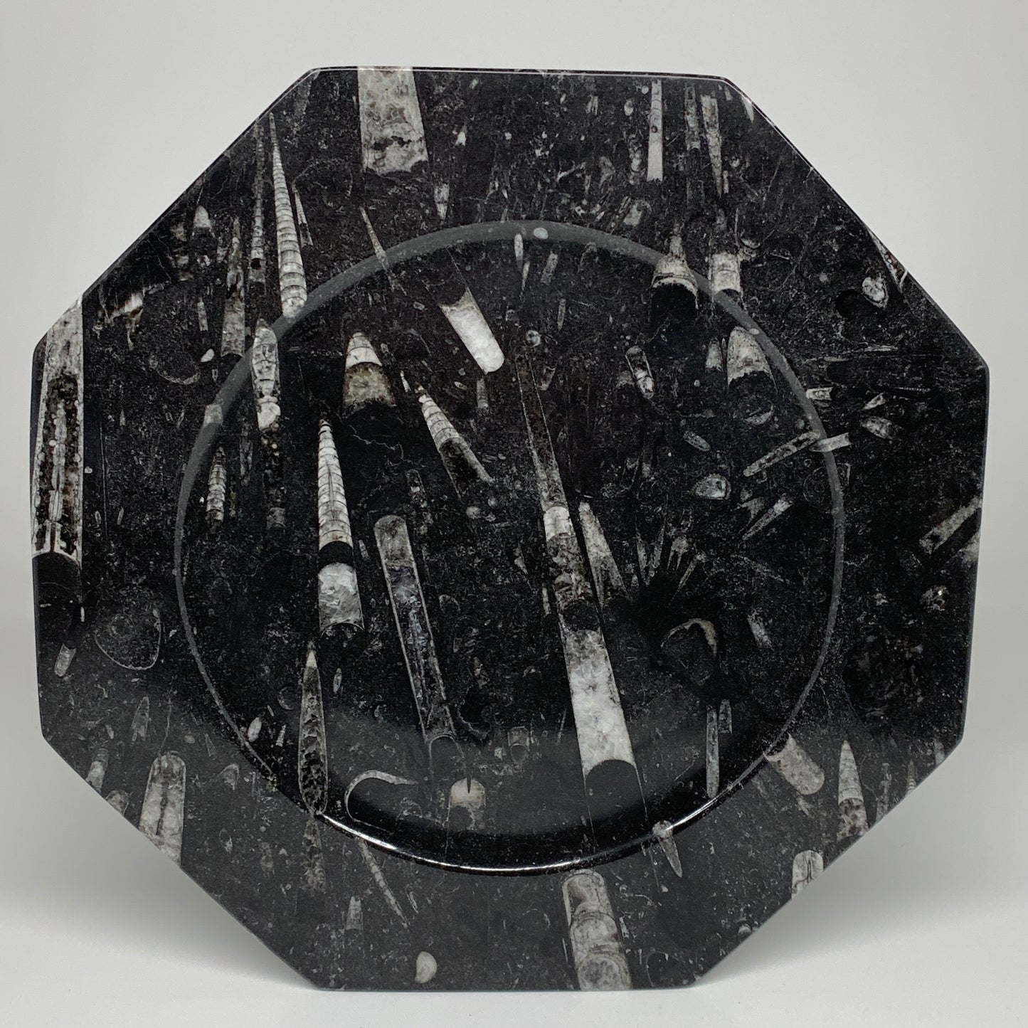 2pcs, 12" Large Octagon Shape Black Fossils Orthoceras Plates @Morocco, B8313