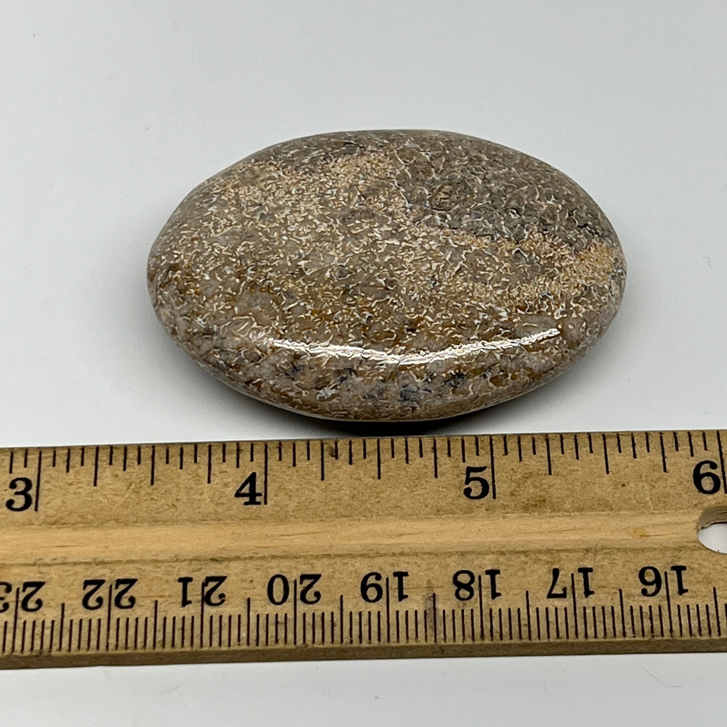 51.1g,2.2"x1.6"x0.7", Small Dinosaur Bones Palm-Stone from Morocco, B20476