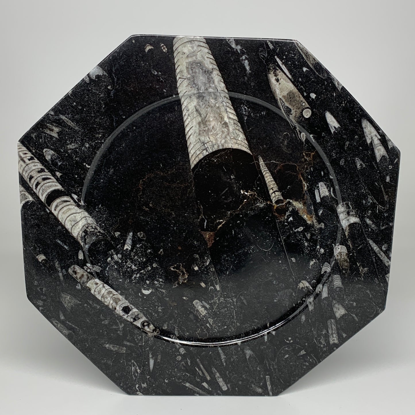 2pcs, 12" Large Octagon Shape Black Fossils Orthoceras Plates @Morocco, B8313