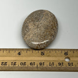 51.1g,2.2"x1.6"x0.7", Small Dinosaur Bones Palm-Stone from Morocco, B20476