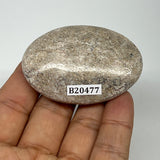 49.9g,2.2"x1.6"x0.7", Small Dinosaur Bones Palm-Stone from Morocco, B20477