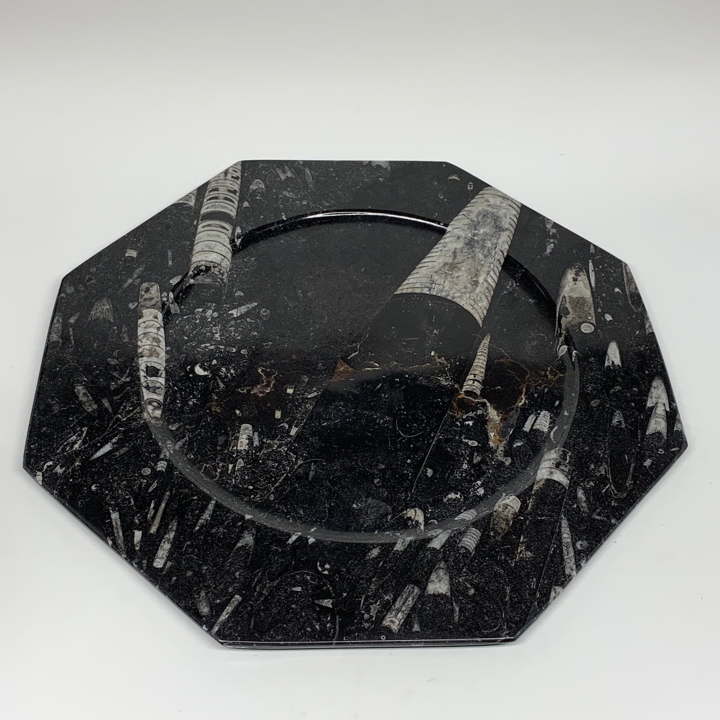 2pcs, 12" Large Octagon Shape Black Fossils Orthoceras Plates @Morocco, B8313
