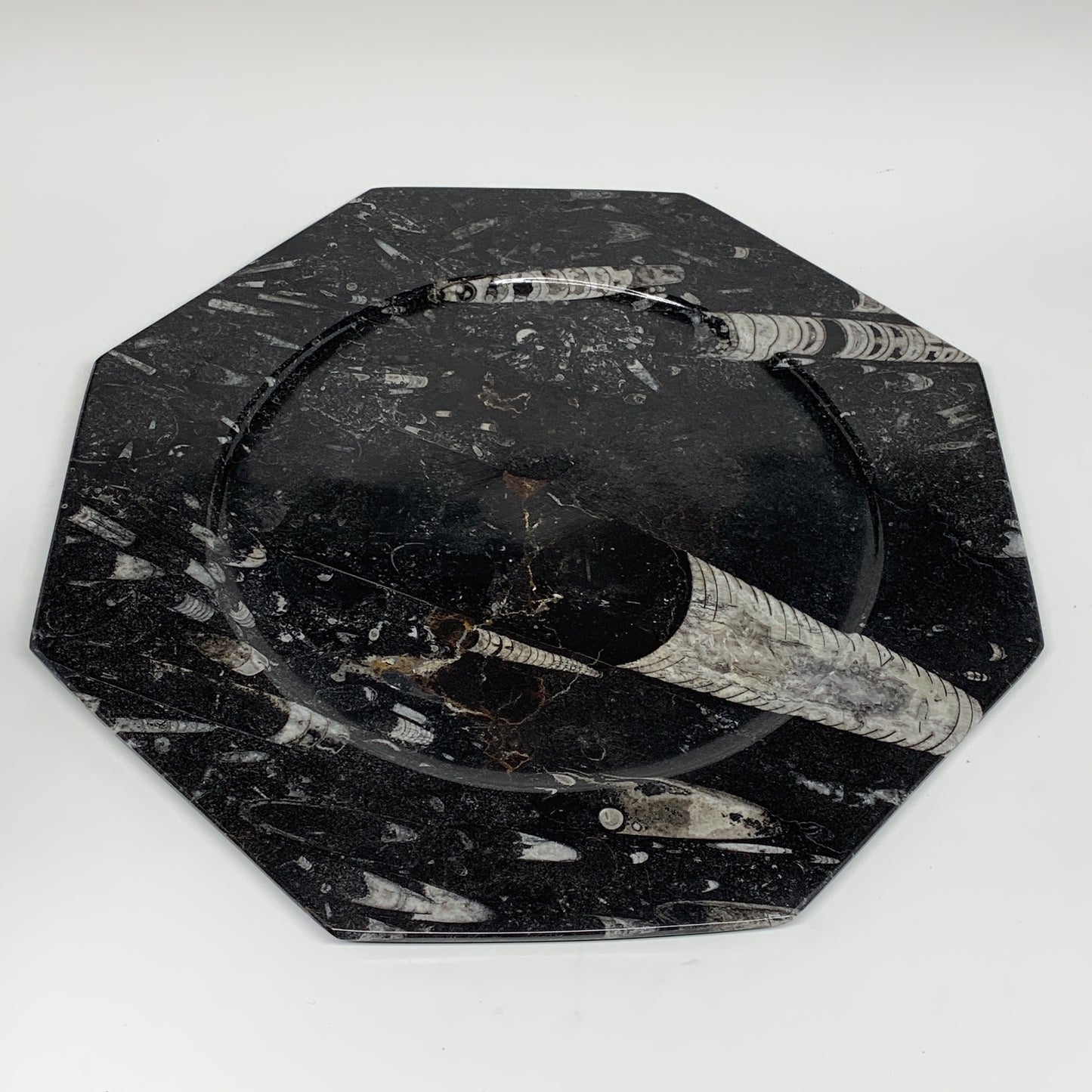 2pcs, 12" Large Octagon Shape Black Fossils Orthoceras Plates @Morocco, B8313