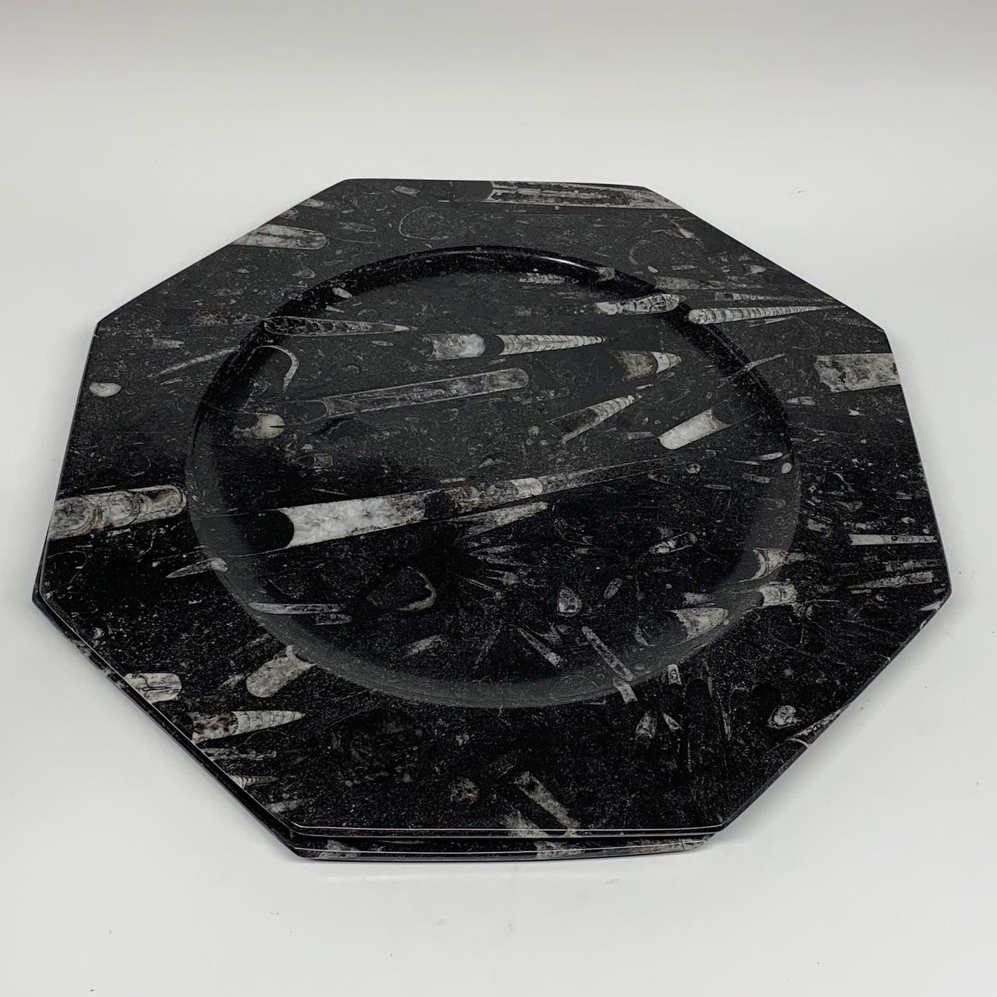 2pcs, 12" Large Octagon Shape Black Fossils Orthoceras Plates @Morocco, B8313