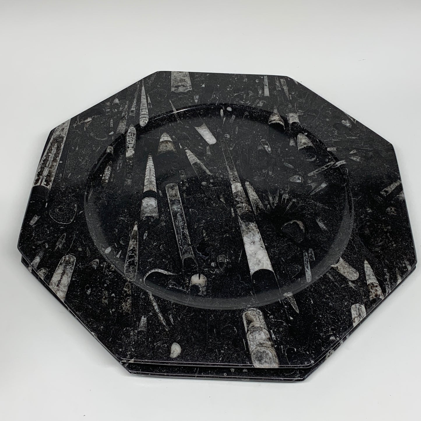 2pcs, 12" Large Octagon Shape Black Fossils Orthoceras Plates @Morocco, B8313