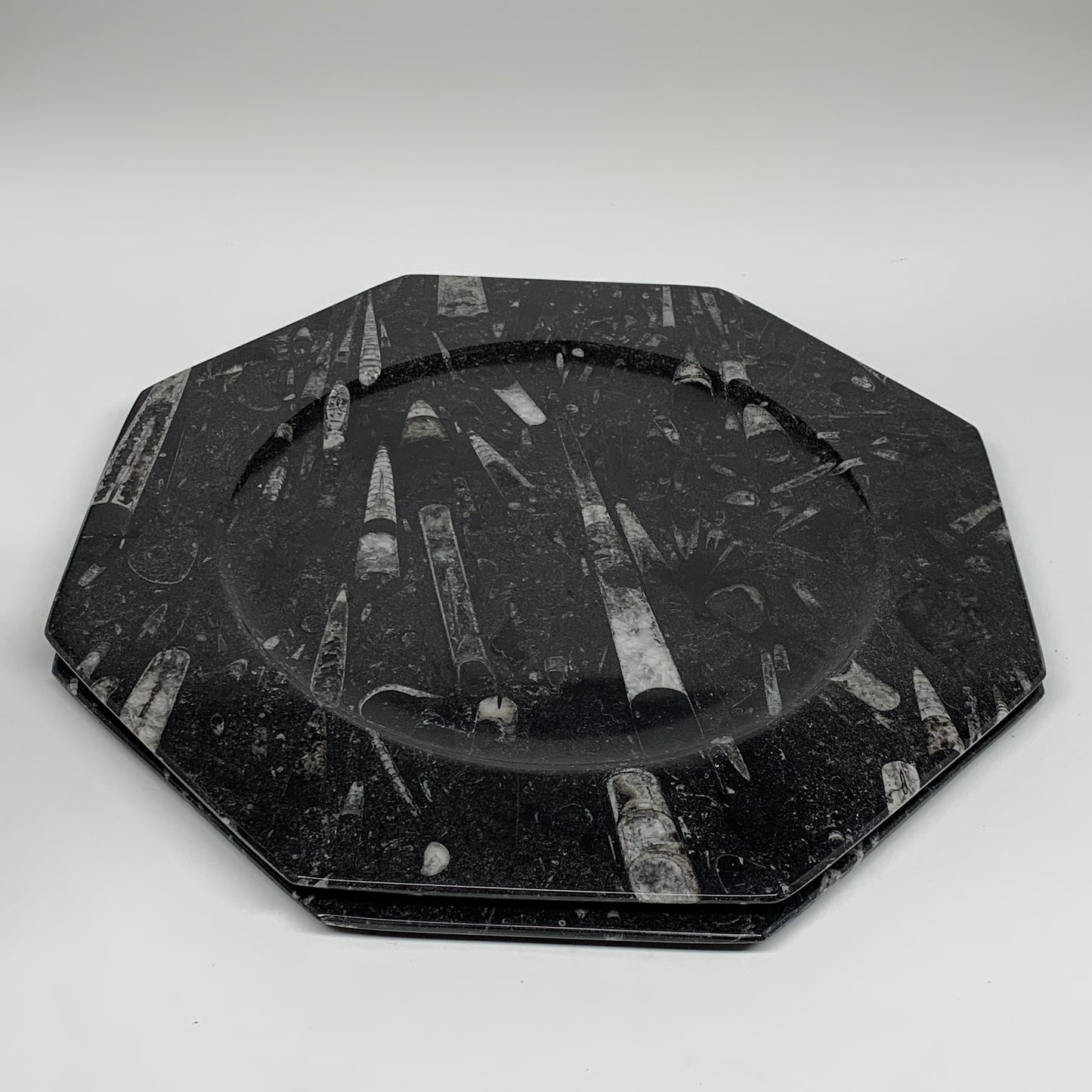 2pcs, 12" Large Octagon Shape Black Fossils Orthoceras Plates @Morocco, B8313