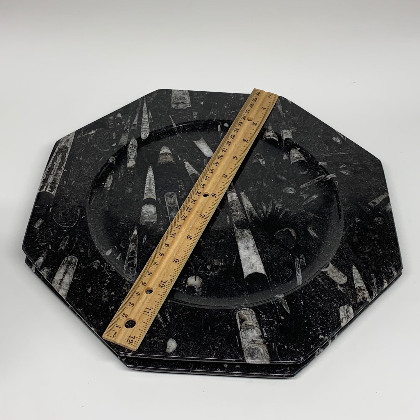 2pcs, 12" Large Octagon Shape Black Fossils Orthoceras Plates @Morocco, B8313