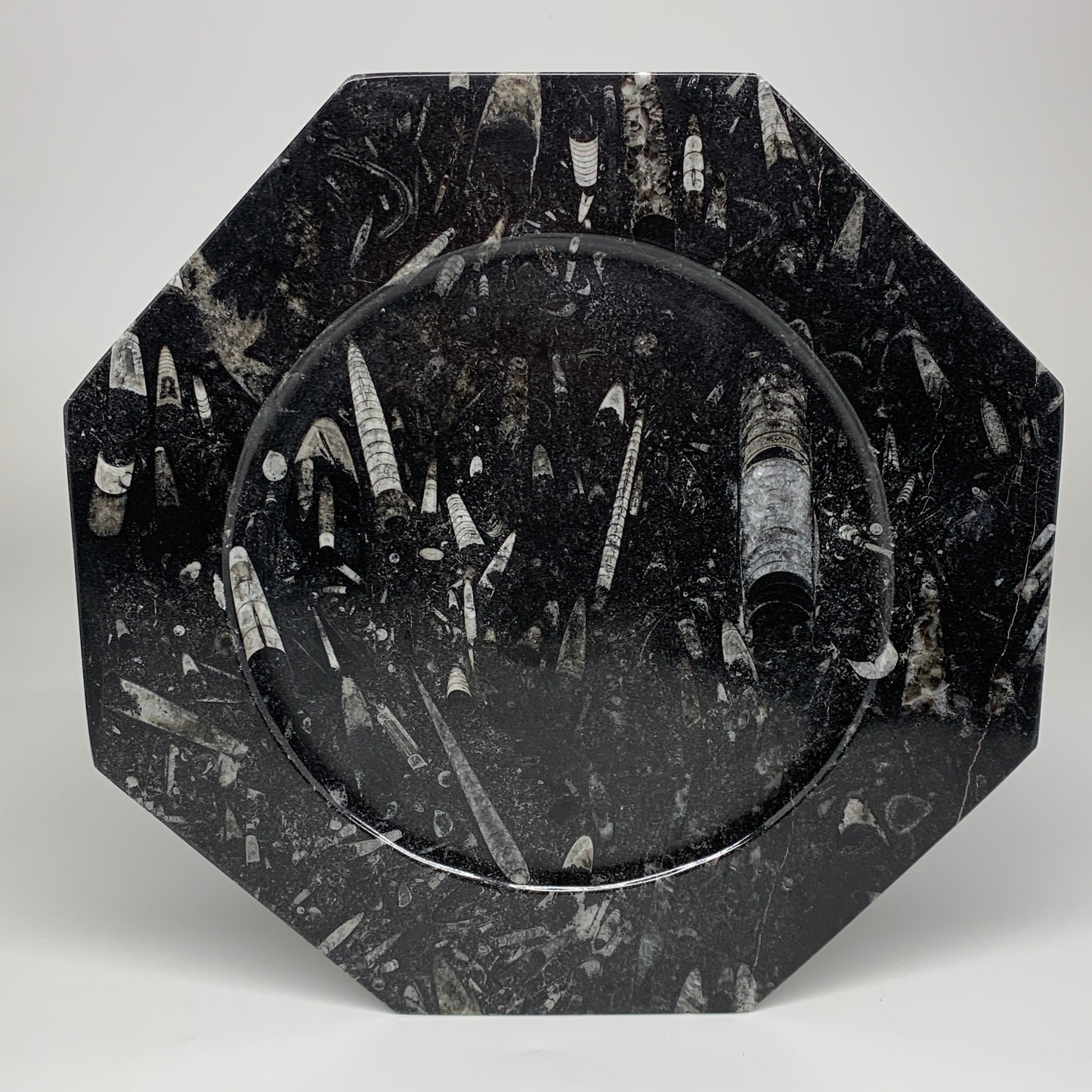 2pcs, 12" Large Octagon Shape Black Fossils Orthoceras Plates @Morocco, B8314