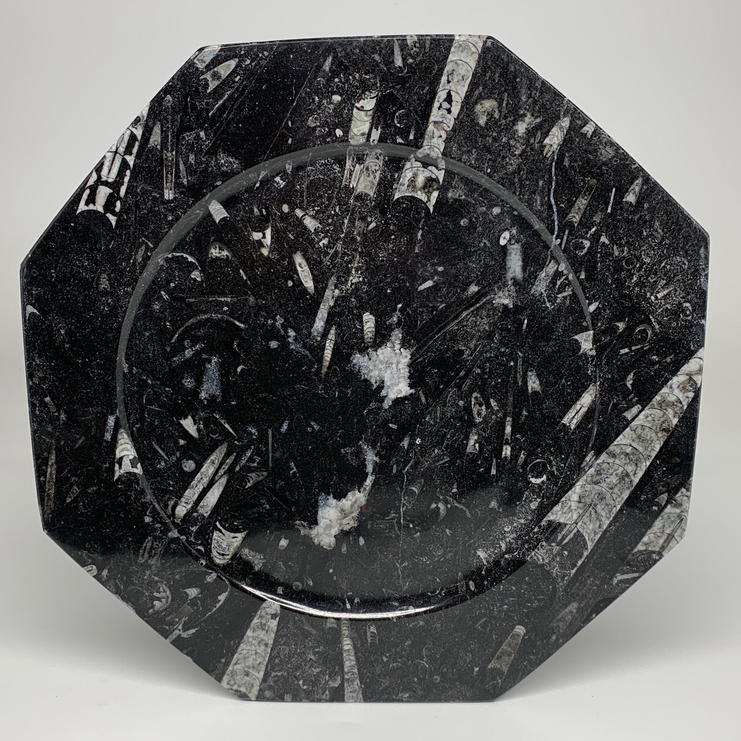 2pcs, 12" Large Octagon Shape Black Fossils Orthoceras Plates @Morocco, B8314