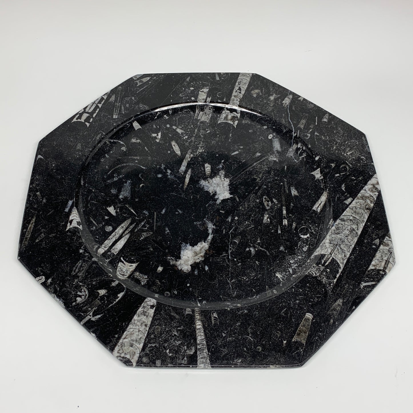 2pcs, 12" Large Octagon Shape Black Fossils Orthoceras Plates @Morocco, B8314