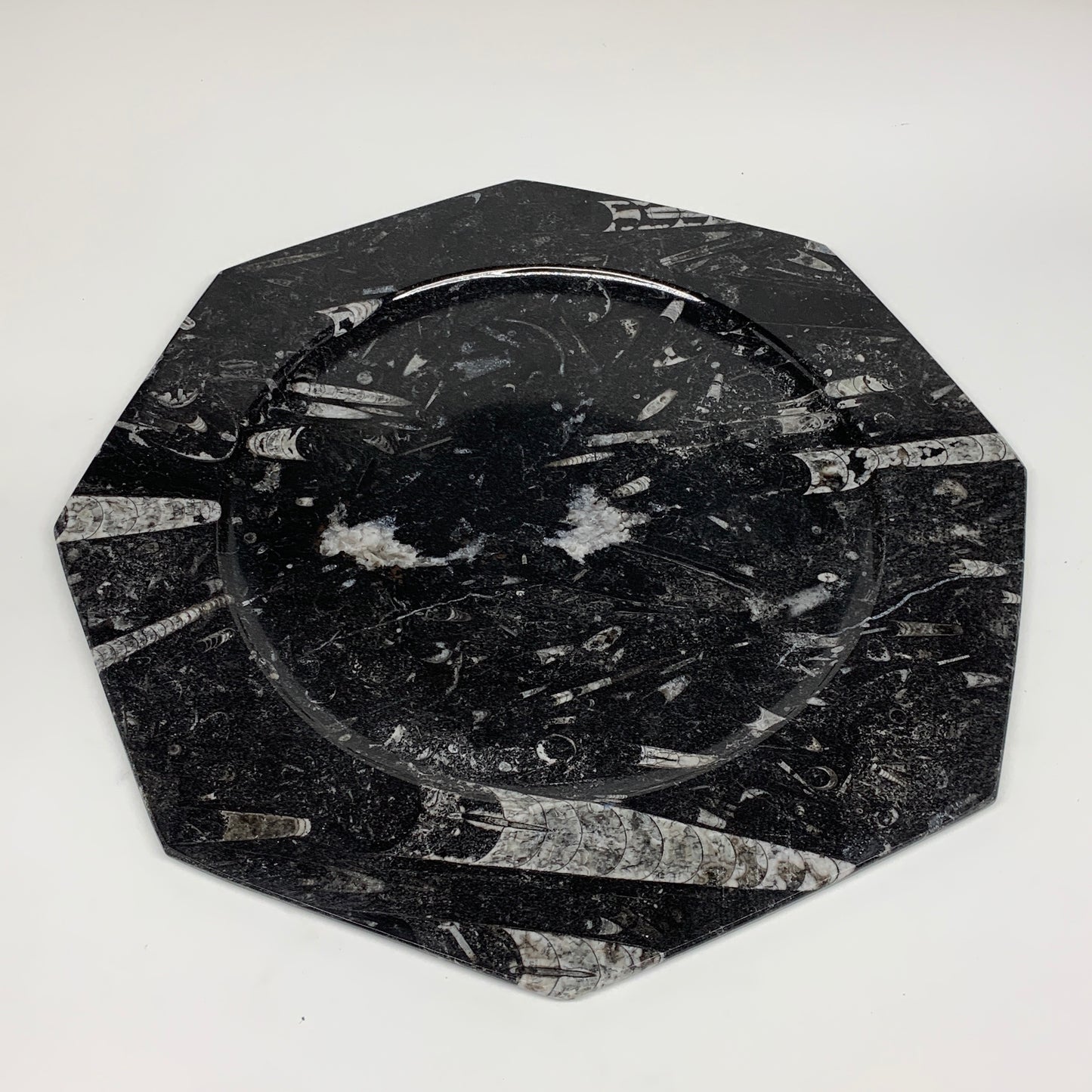 2pcs, 12" Large Octagon Shape Black Fossils Orthoceras Plates @Morocco, B8314