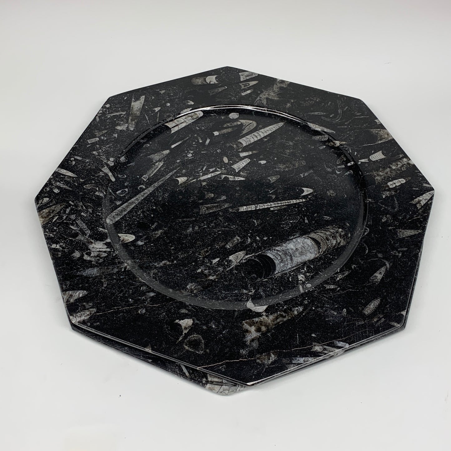 2pcs, 12" Large Octagon Shape Black Fossils Orthoceras Plates @Morocco, B8314