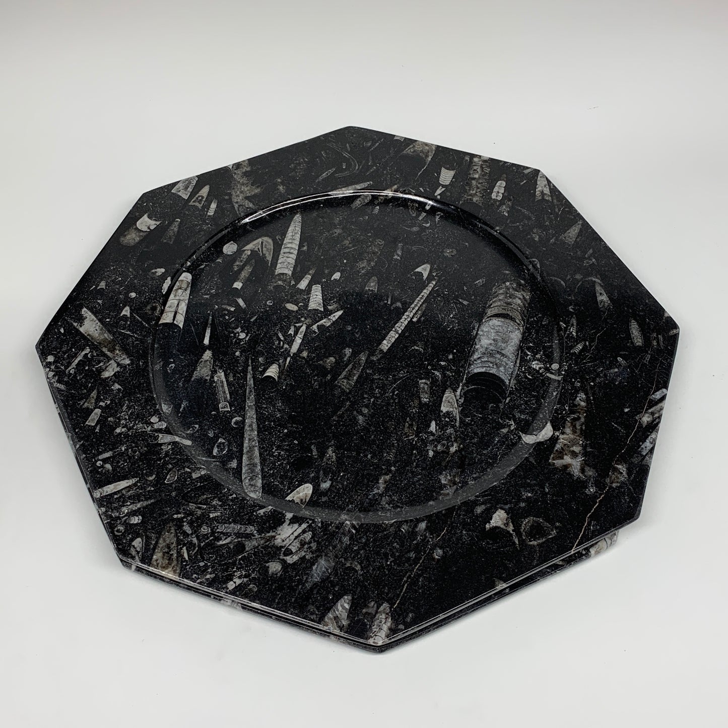 2pcs, 12" Large Octagon Shape Black Fossils Orthoceras Plates @Morocco, B8314