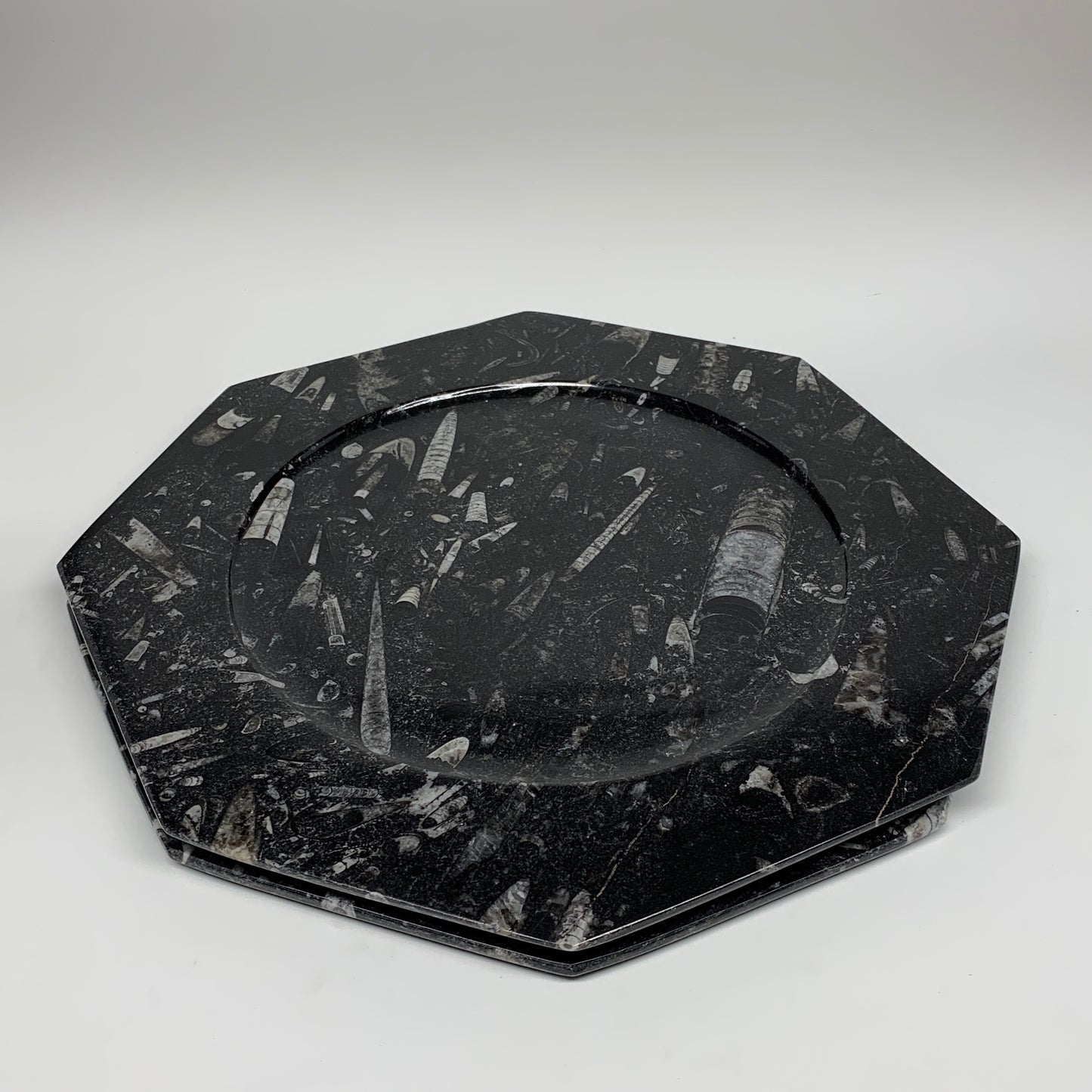 2pcs, 12" Large Octagon Shape Black Fossils Orthoceras Plates @Morocco, B8314