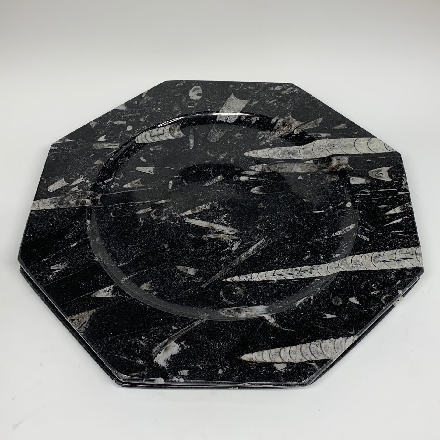 2pcs, 12" Large Octagon Shape Black Fossils Orthoceras Plates @Morocco, B8315