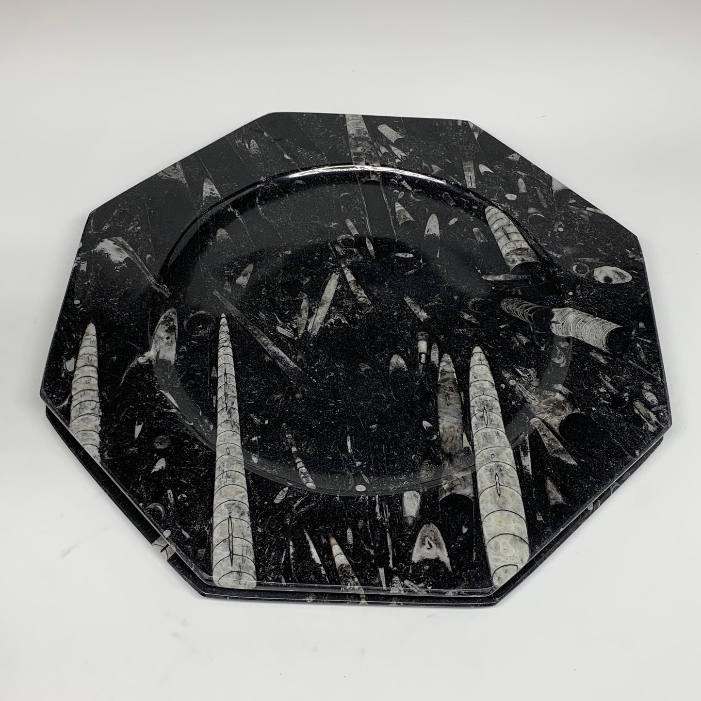 2pcs, 12" Large Octagon Shape Black Fossils Orthoceras Plates @Morocco, B8315