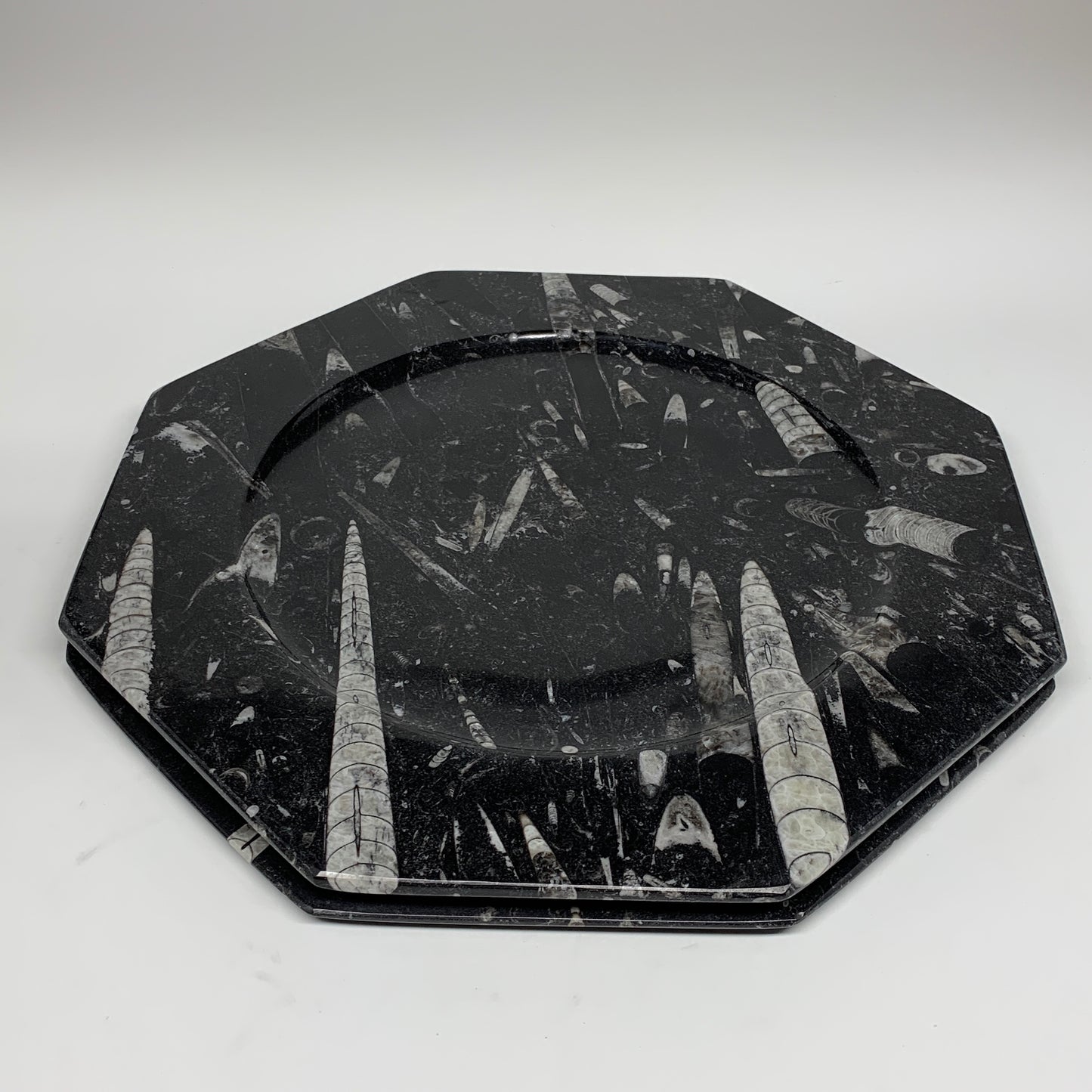 2pcs, 12" Large Octagon Shape Black Fossils Orthoceras Plates @Morocco, B8315