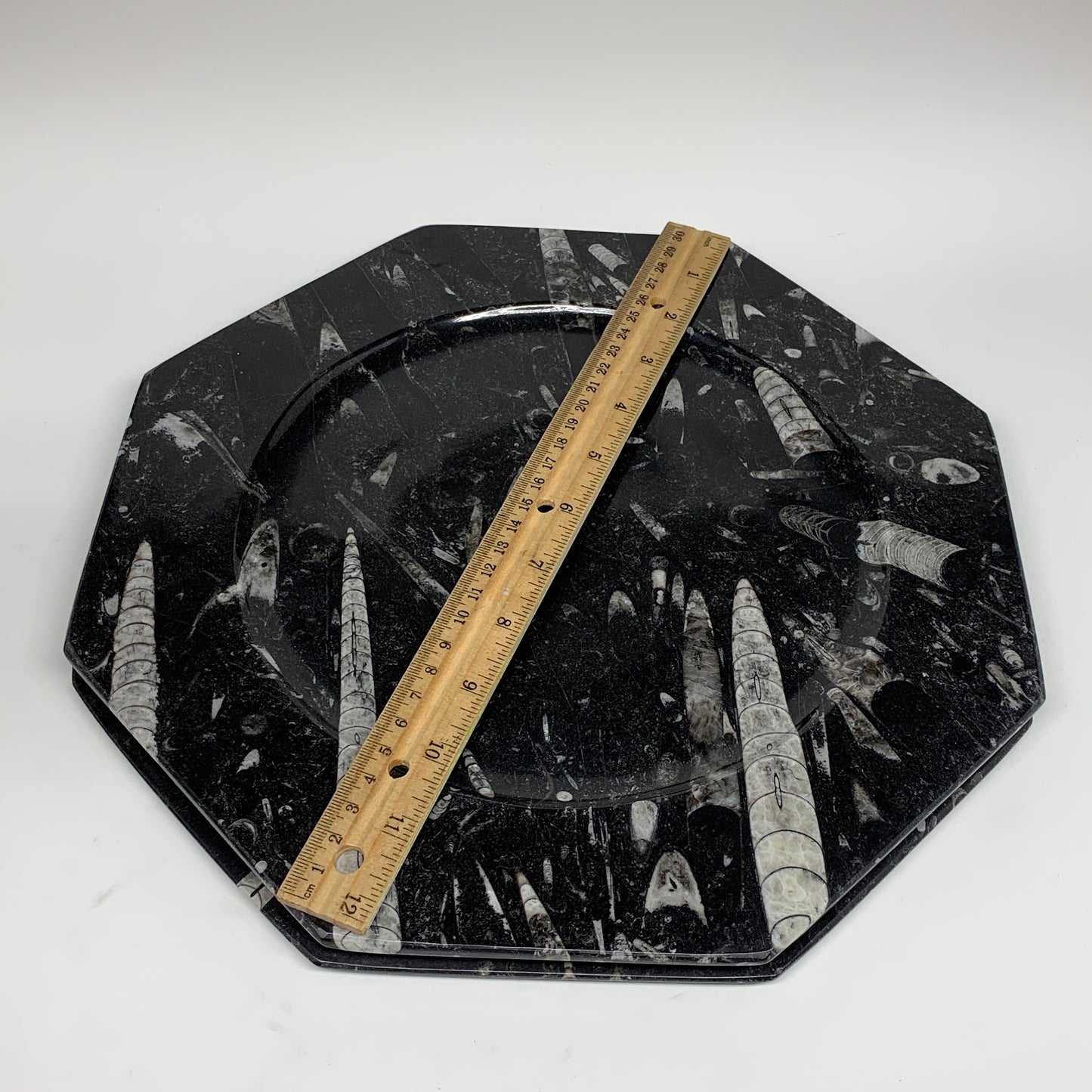2pcs, 12" Large Octagon Shape Black Fossils Orthoceras Plates @Morocco, B8315