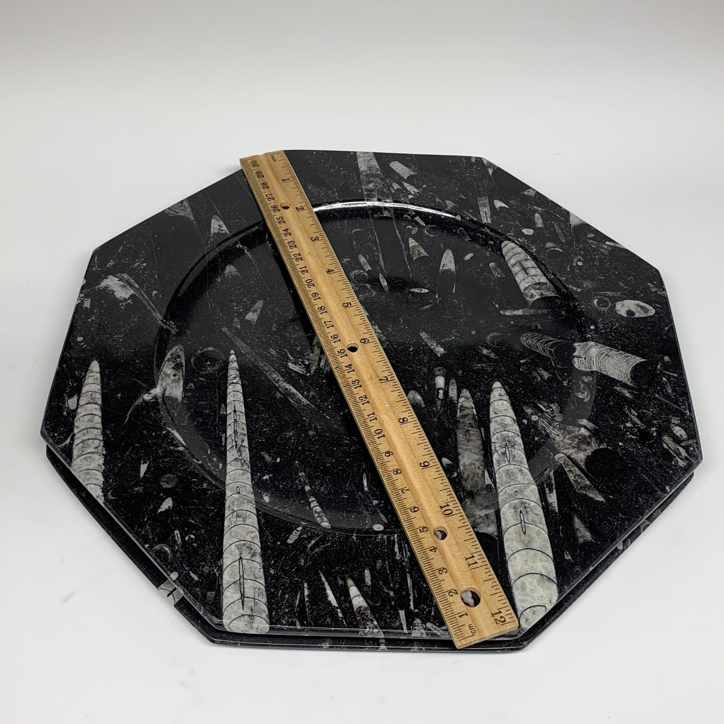 2pcs, 12" Large Octagon Shape Black Fossils Orthoceras Plates @Morocco, B8315