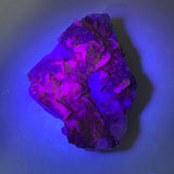 914g, 6"x4"x2", UV Reactive Chalcopyrite Cluster On Fluorite Mineral Specimen,B1