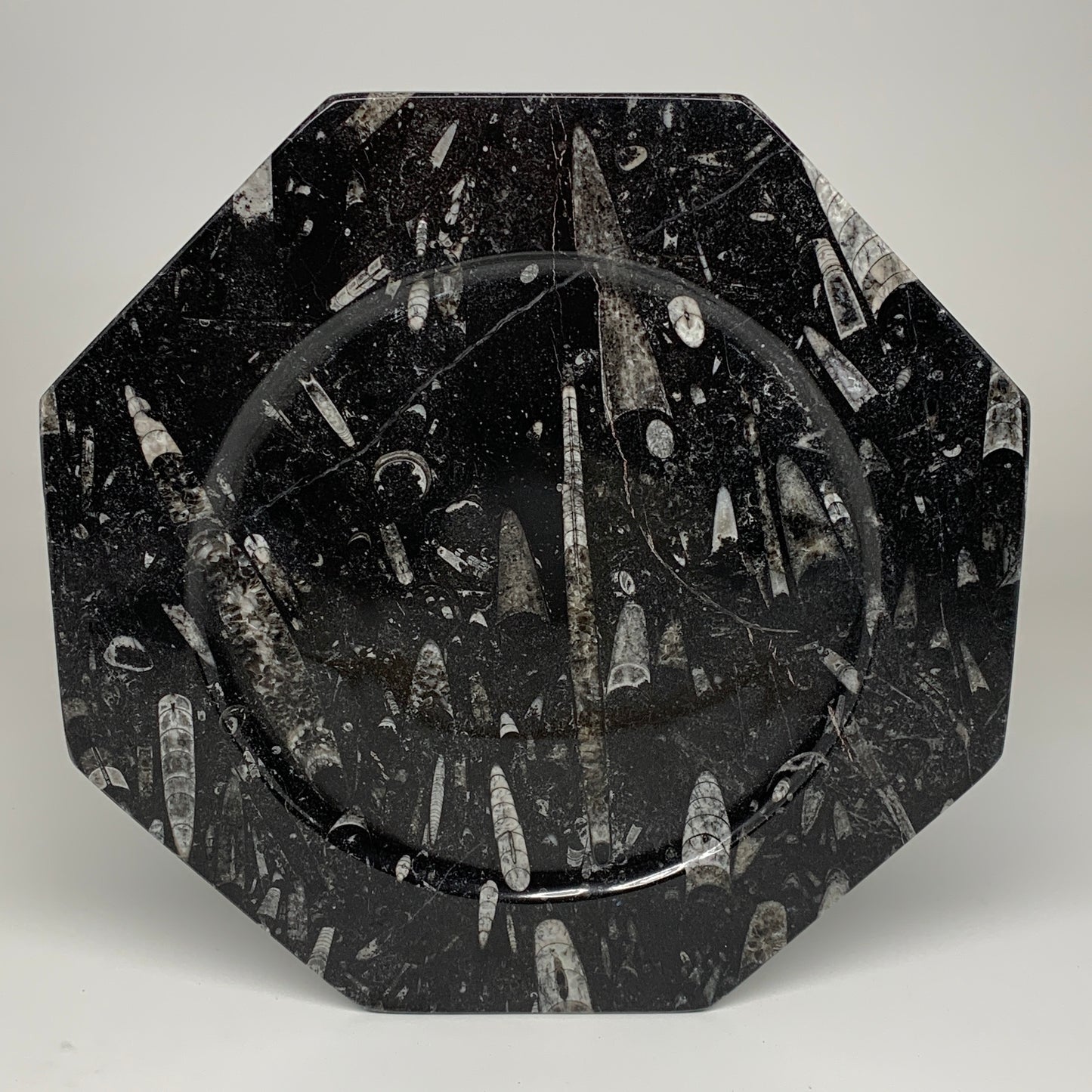 2pcs, 12" Large Octagon Shape Black Fossils Orthoceras Plates @Morocco, B8318