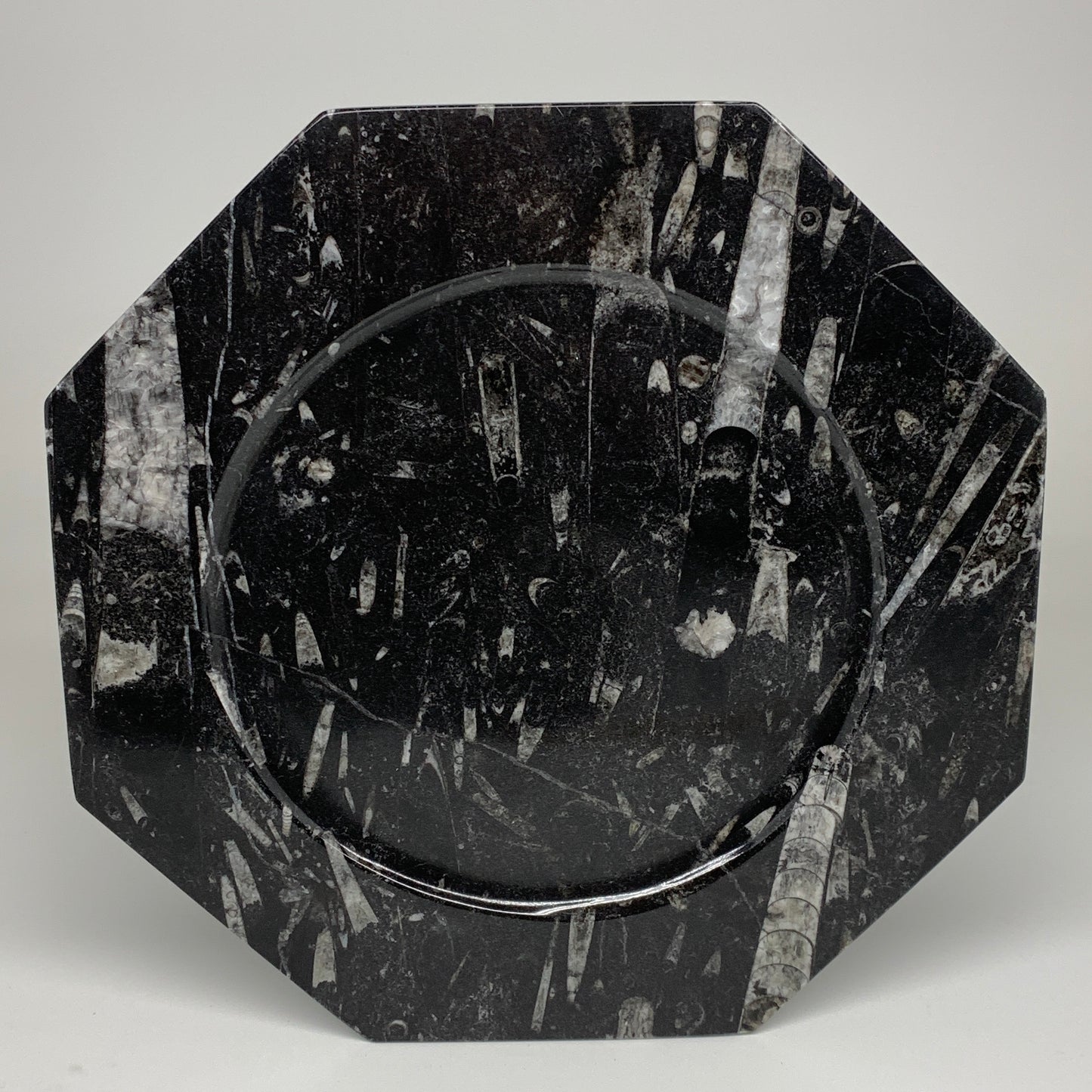 2pcs, 12" Large Octagon Shape Black Fossils Orthoceras Plates @Morocco, B8318