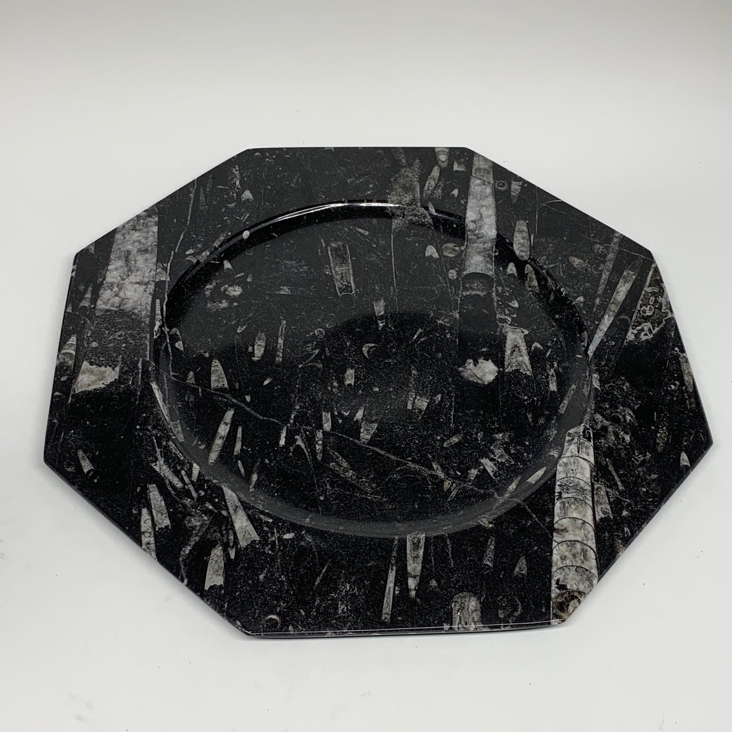 2pcs, 12" Large Octagon Shape Black Fossils Orthoceras Plates @Morocco, B8318