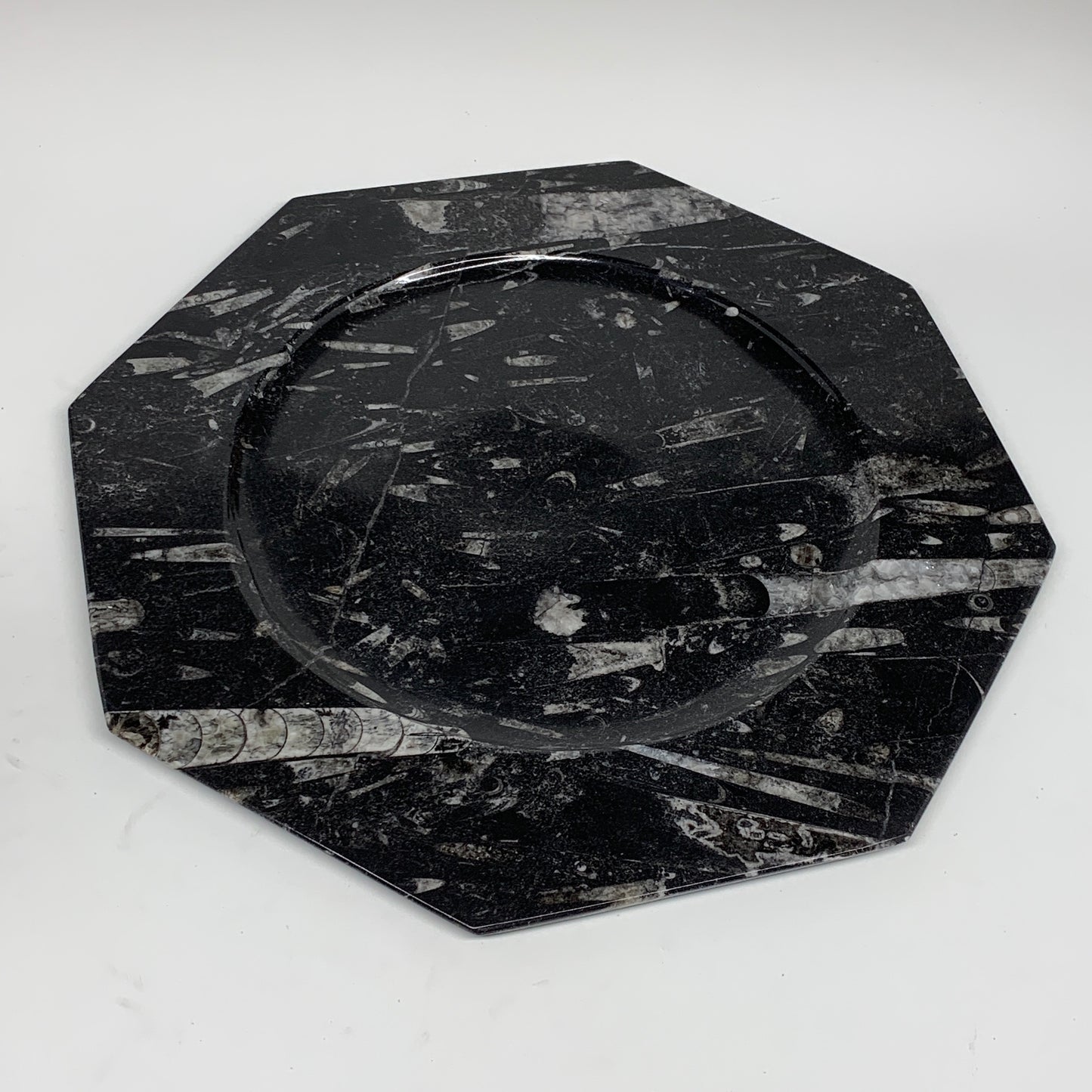 2pcs, 12" Large Octagon Shape Black Fossils Orthoceras Plates @Morocco, B8318