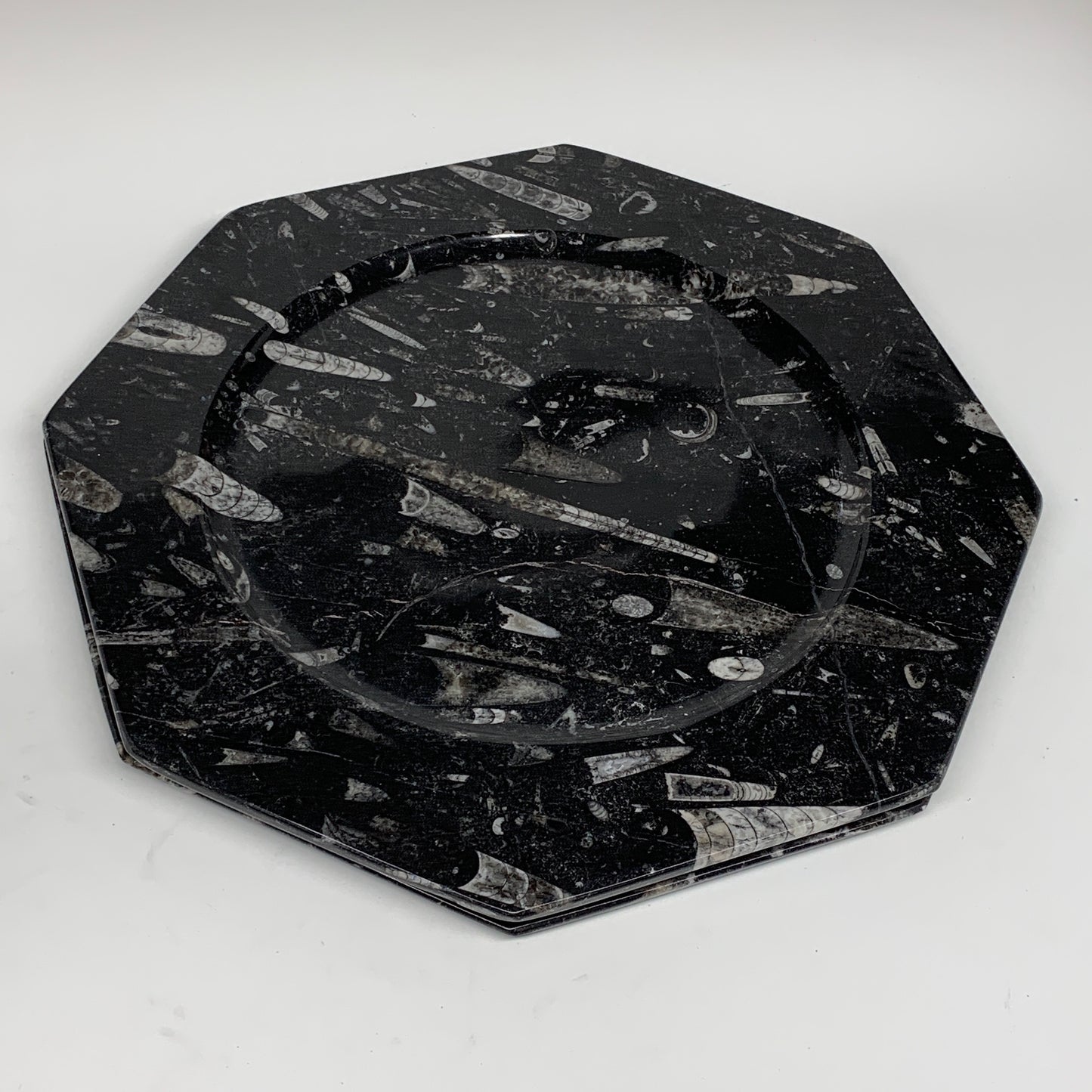 2pcs, 12" Large Octagon Shape Black Fossils Orthoceras Plates @Morocco, B8318