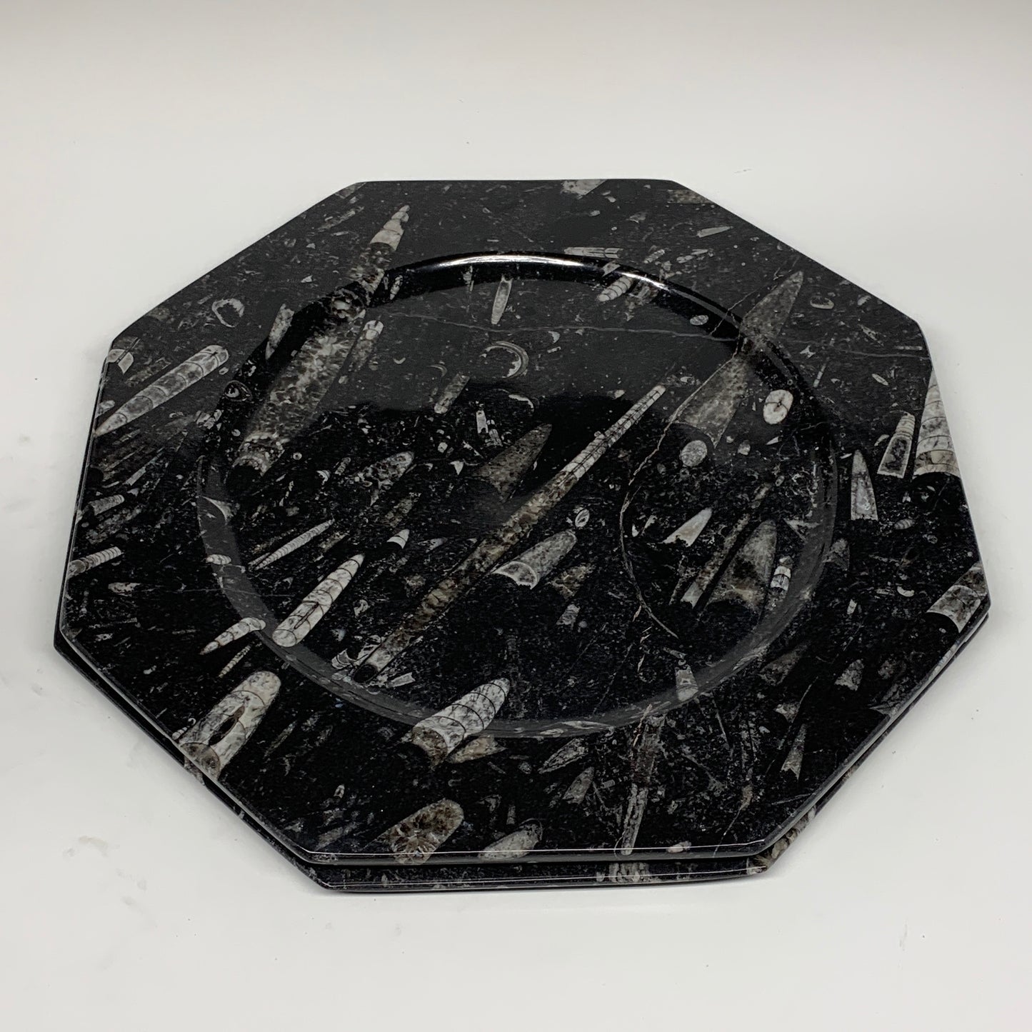2pcs, 12" Large Octagon Shape Black Fossils Orthoceras Plates @Morocco, B8318