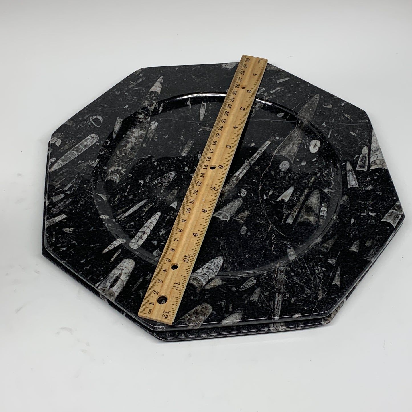 2pcs, 12" Large Octagon Shape Black Fossils Orthoceras Plates @Morocco, B8318