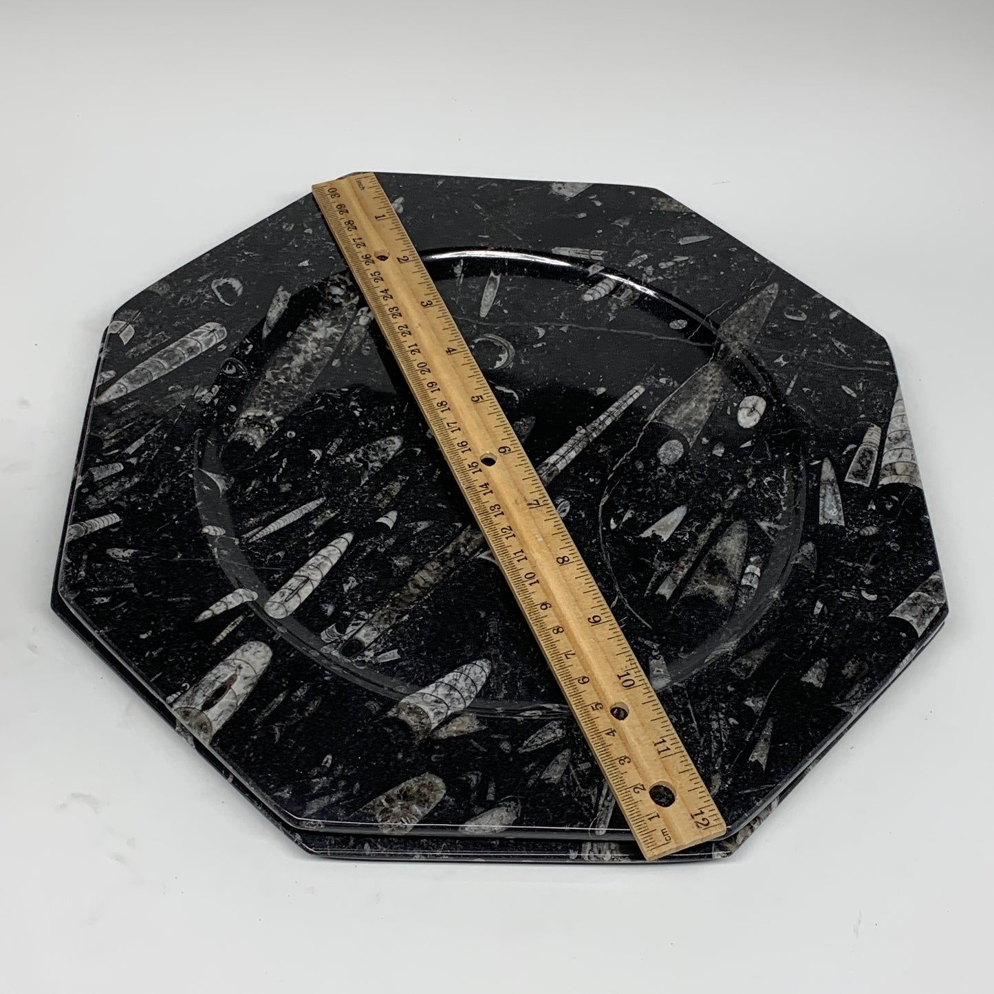 2pcs, 12" Large Octagon Shape Black Fossils Orthoceras Plates @Morocco, B8318
