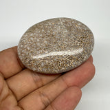 59.9g,2.2"x1.7"x0.8", Small Dinosaur Bones Palm-Stone from Morocco, B20482