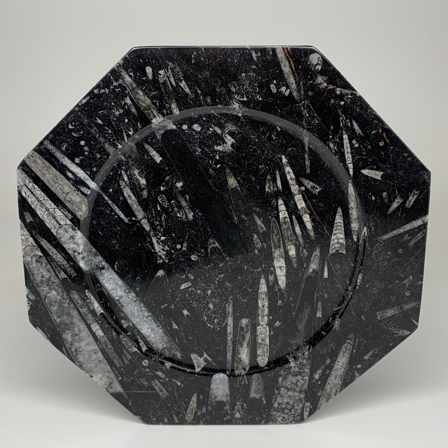 2pcs, 12" Large Octagon Shape Black Fossils Orthoceras Plates @Morocco, B8319
