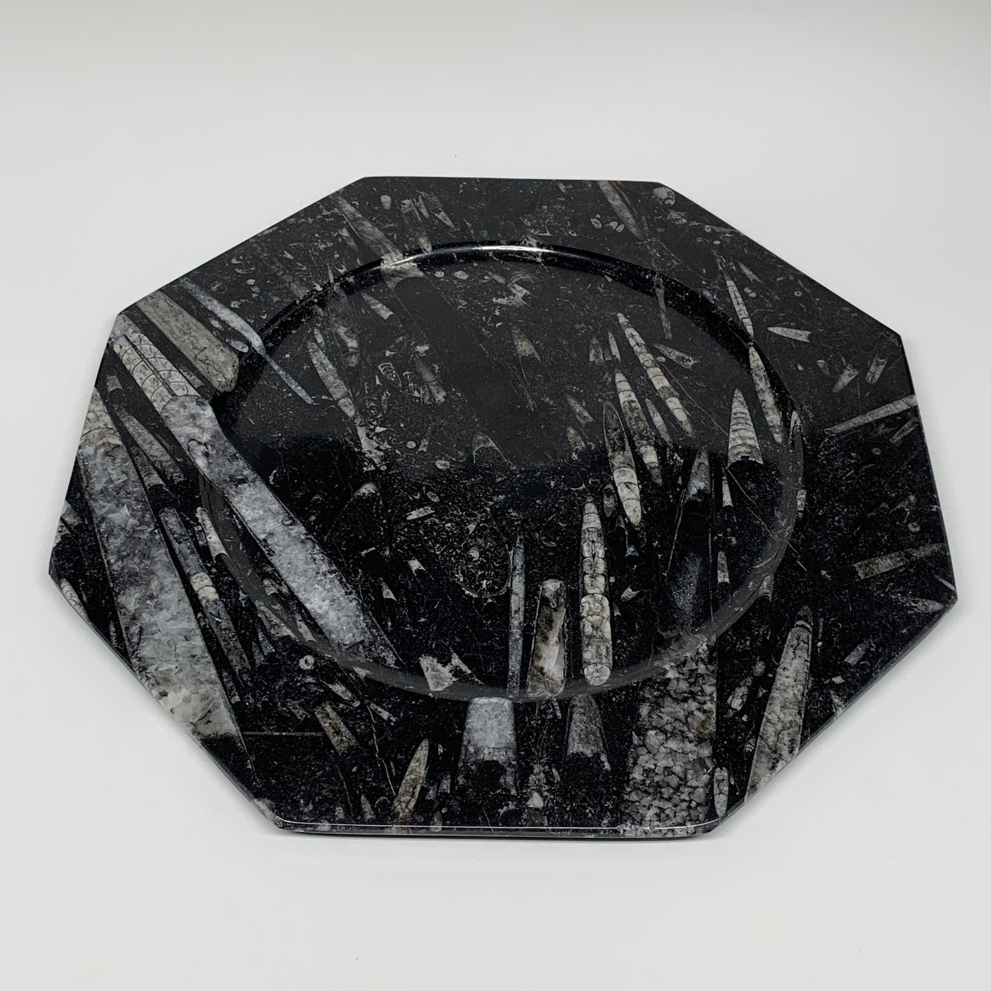 2pcs, 12" Large Octagon Shape Black Fossils Orthoceras Plates @Morocco, B8319