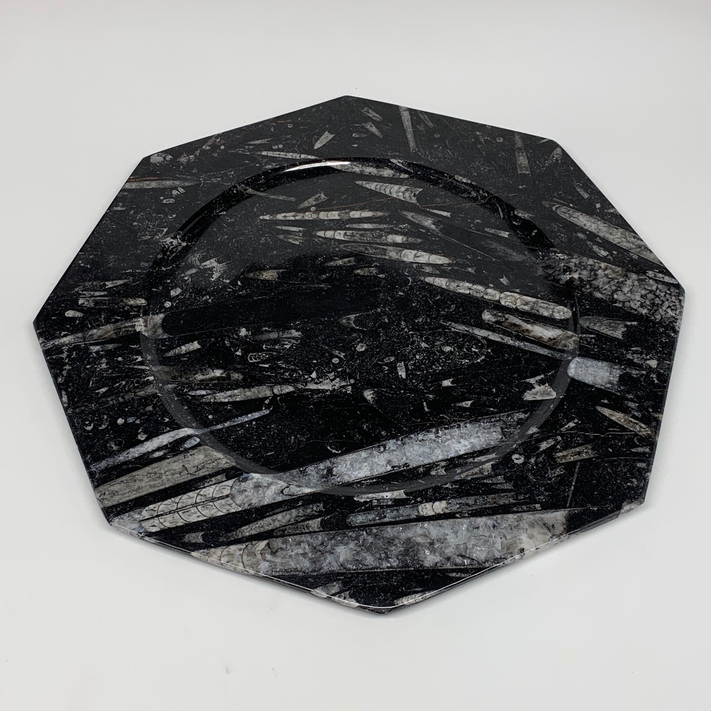 2pcs, 12" Large Octagon Shape Black Fossils Orthoceras Plates @Morocco, B8319