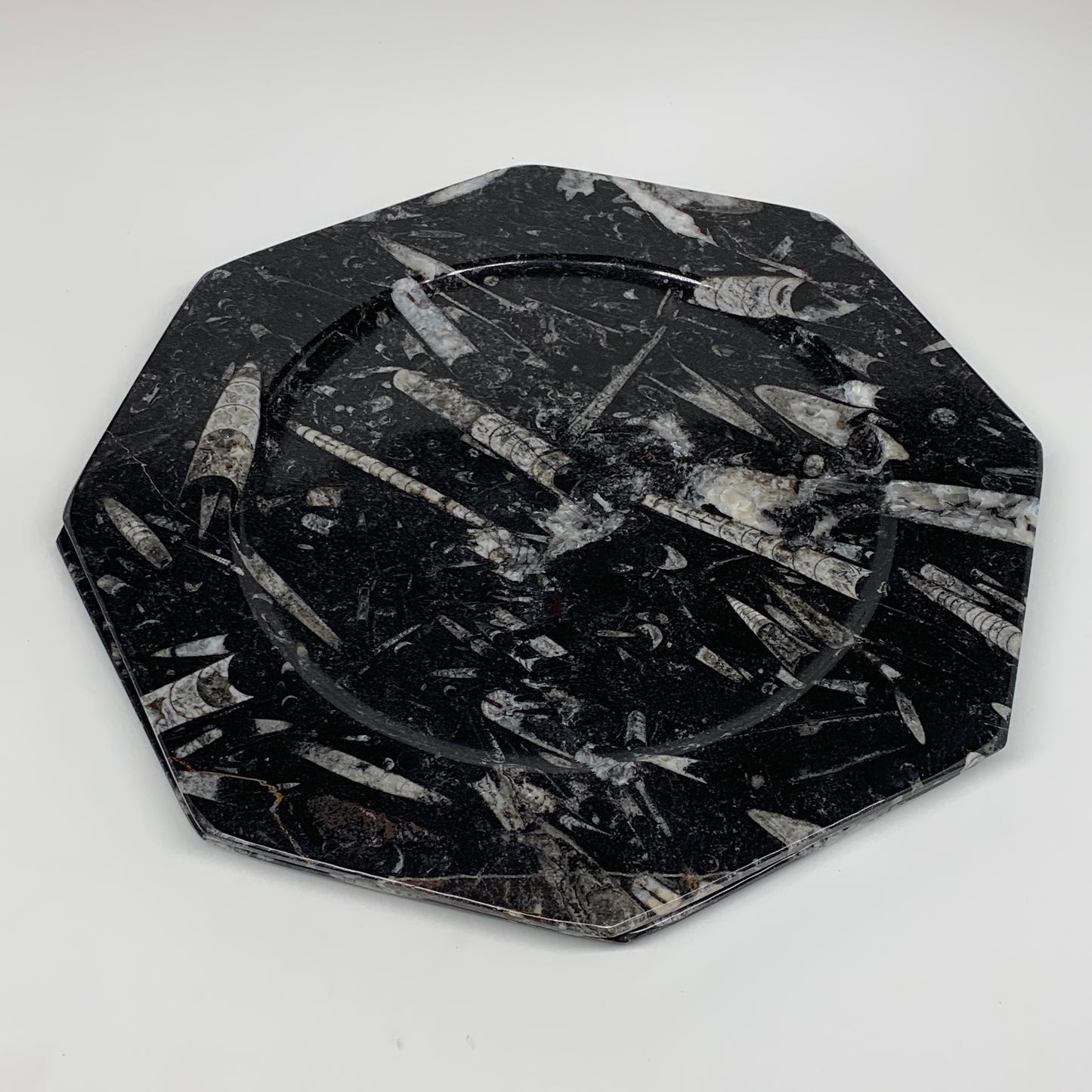 2pcs, 12" Large Octagon Shape Black Fossils Orthoceras Plates @Morocco, B8319