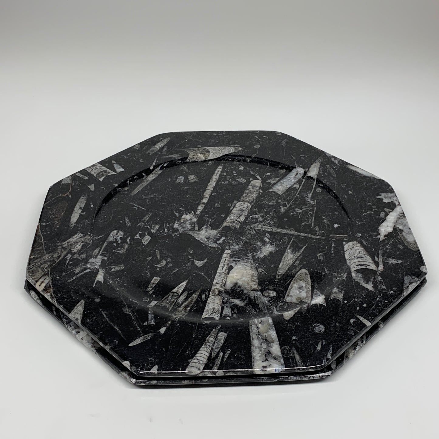 2pcs, 12" Large Octagon Shape Black Fossils Orthoceras Plates @Morocco, B8319