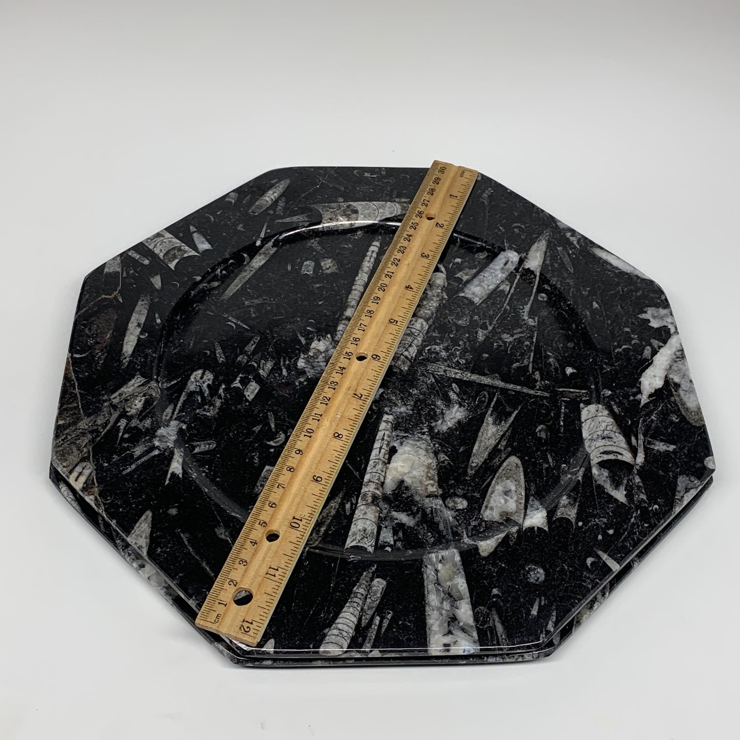 2pcs, 12" Large Octagon Shape Black Fossils Orthoceras Plates @Morocco, B8319