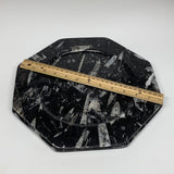 2pcs, 12" Large Octagon Shape Black Fossils Orthoceras Plates @Morocco, B8319