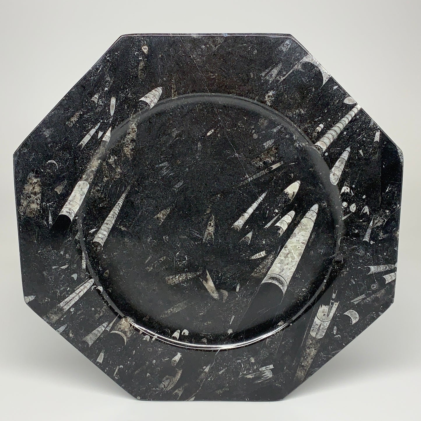 2pcs, 12" Large Octagon Shape Black Fossils Orthoceras Plates @Morocco, B8320