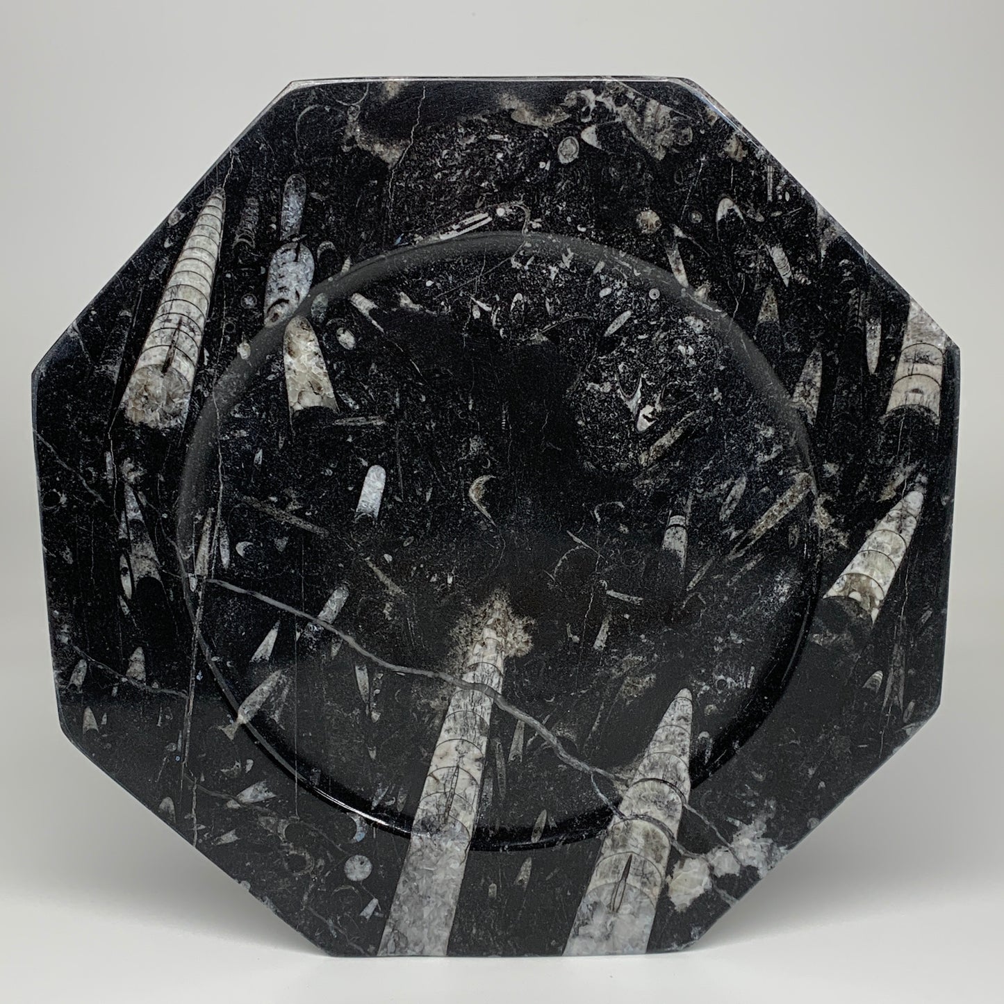 2pcs, 12" Large Octagon Shape Black Fossils Orthoceras Plates @Morocco, B8320