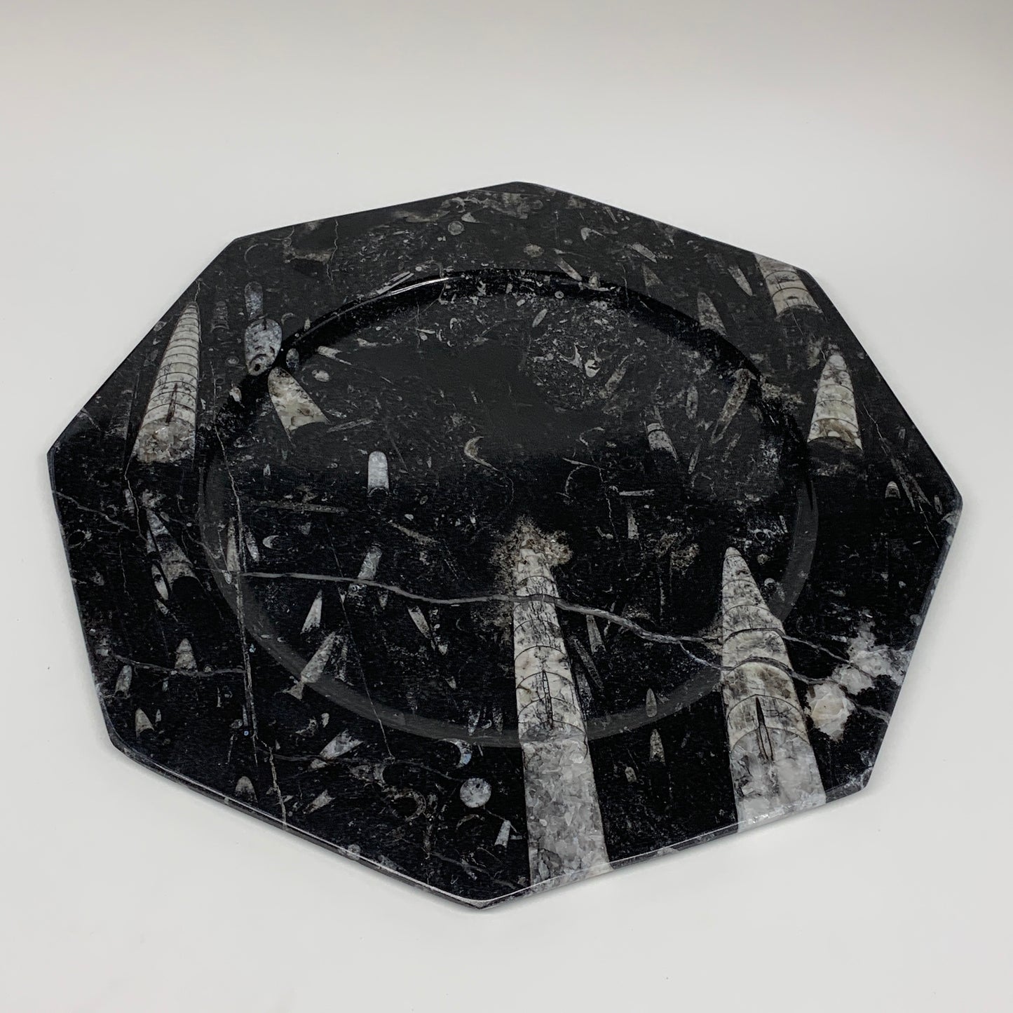 2pcs, 12" Large Octagon Shape Black Fossils Orthoceras Plates @Morocco, B8320