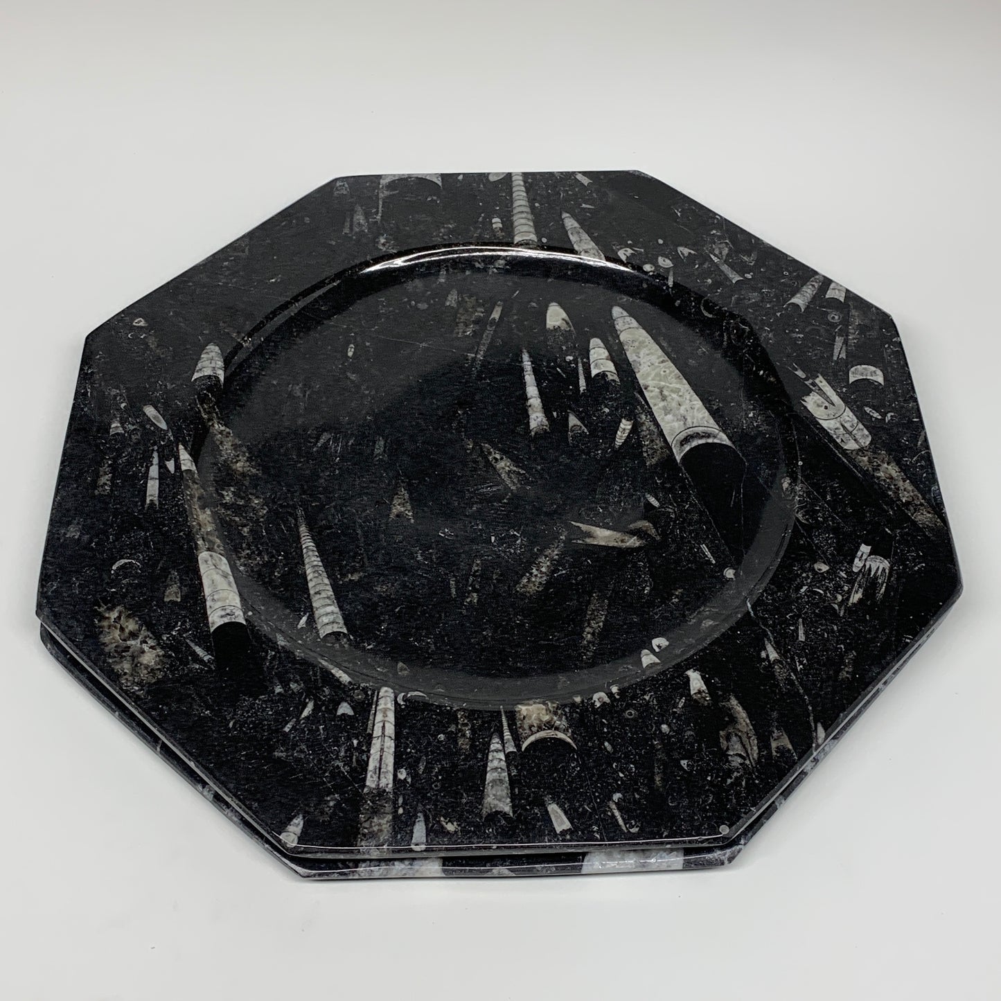 2pcs, 12" Large Octagon Shape Black Fossils Orthoceras Plates @Morocco, B8320